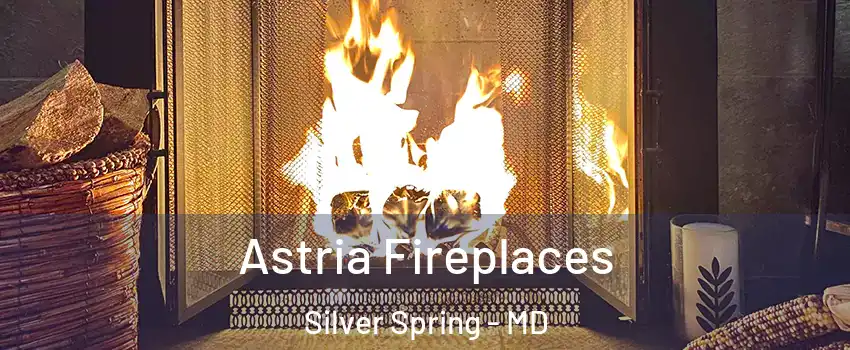  Astria Fireplaces Silver Spring - MD