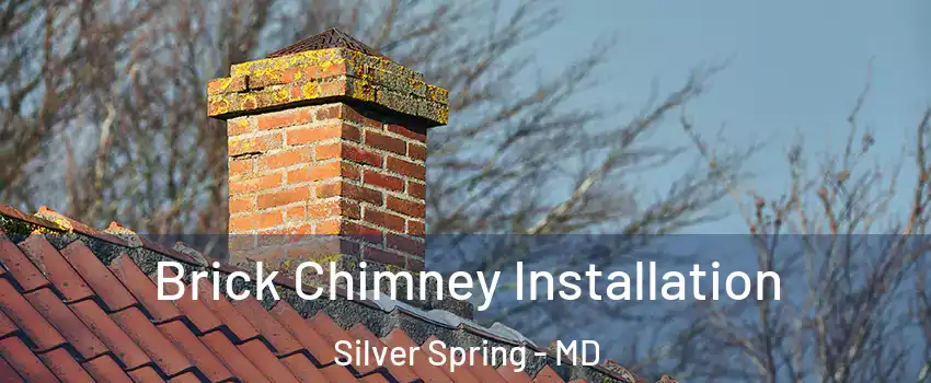  Brick Chimney Installation Silver Spring - MD