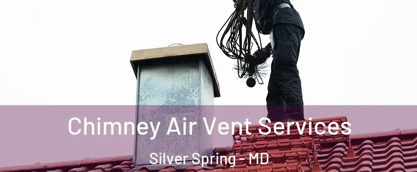  Chimney Air Vent Services Silver Spring - MD