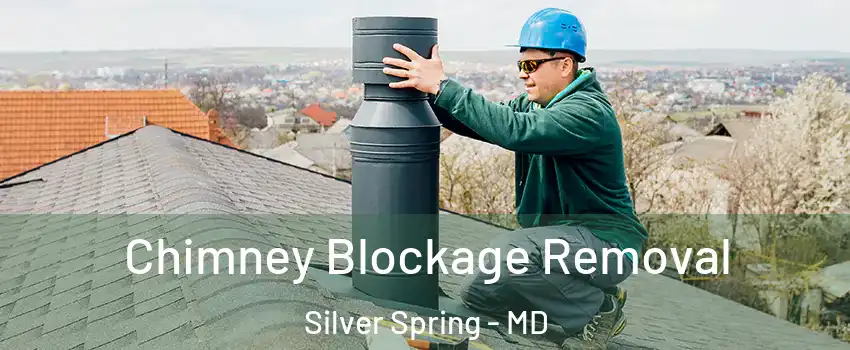 Chimney Blockage Removal Silver Spring - MD