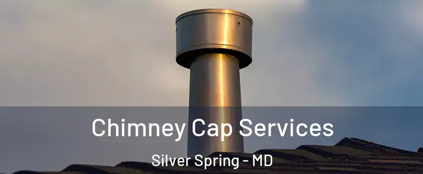  Chimney Cap Services Silver Spring - MD