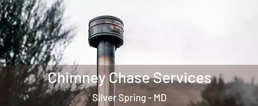  Chimney Chase Services Silver Spring - MD