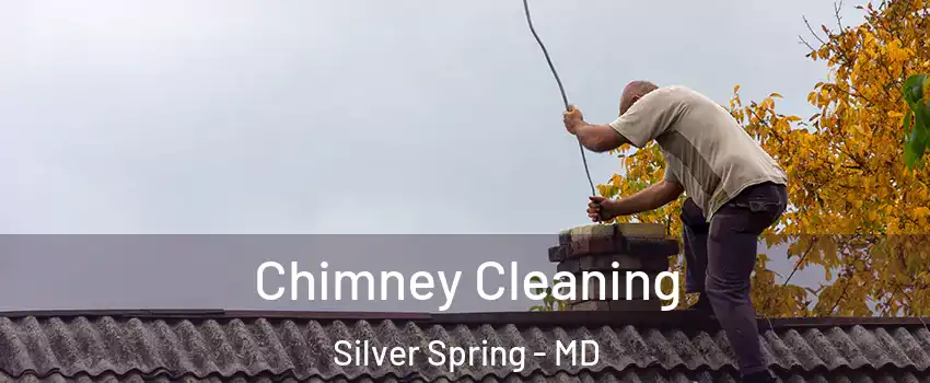  Chimney Cleaning Silver Spring - MD