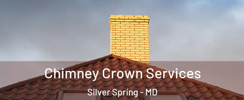 Chimney Crown Services Silver Spring - MD