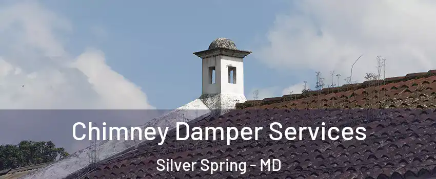  Chimney Damper Services Silver Spring - MD