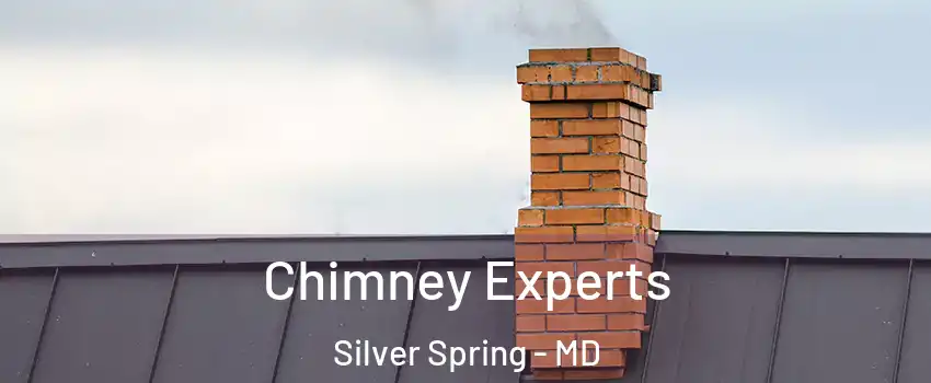 Chimney Experts Silver Spring - MD