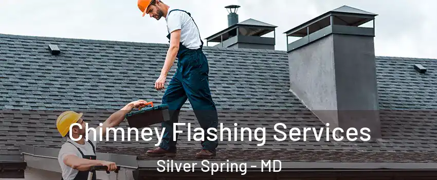 Chimney Flashing Services Silver Spring - MD