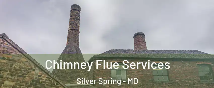  Chimney Flue Services Silver Spring - MD