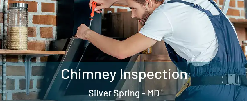  Chimney Inspection Silver Spring - MD