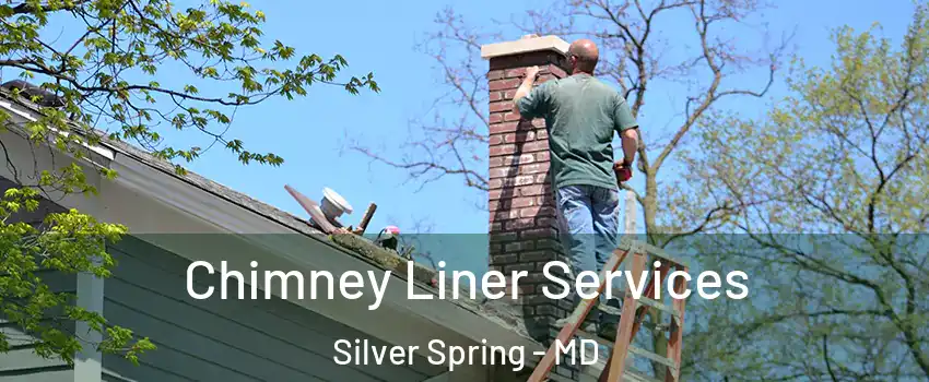  Chimney Liner Services Silver Spring - MD
