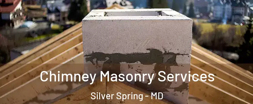  Chimney Masonry Services Silver Spring - MD