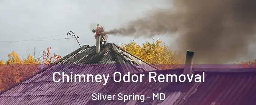  Chimney Odor Removal Silver Spring - MD