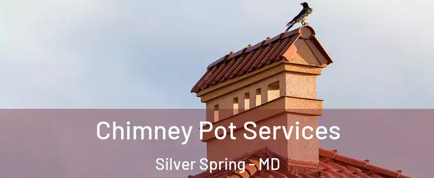  Chimney Pot Services Silver Spring - MD