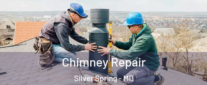  Chimney Repair Silver Spring - MD