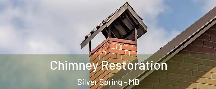  Chimney Restoration Silver Spring - MD