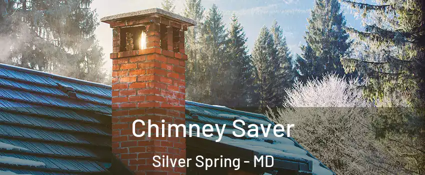  Chimney Saver Silver Spring - MD