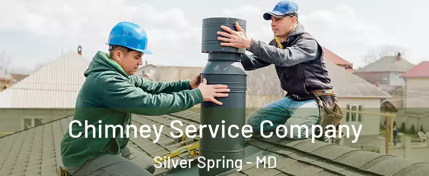  Chimney Service Company Silver Spring - MD