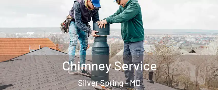  Chimney Service Silver Spring - MD