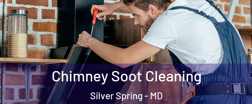  Chimney Soot Cleaning Silver Spring - MD