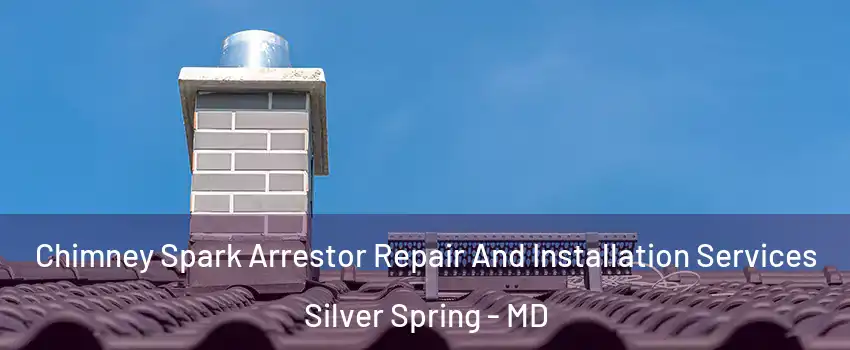  Chimney Spark Arrestor Repair And Installation Services Silver Spring - MD