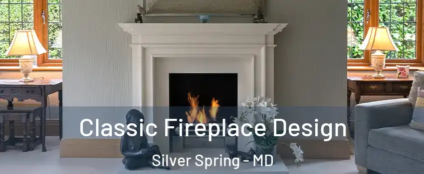  Classic Fireplace Design Silver Spring - MD