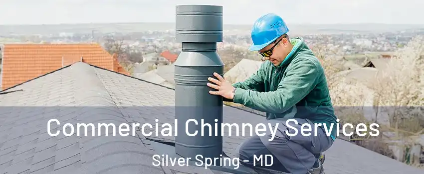  Commercial Chimney Services Silver Spring - MD