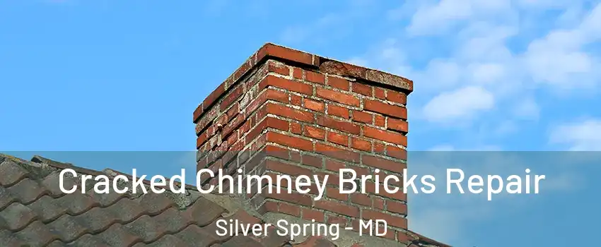  Cracked Chimney Bricks Repair Silver Spring - MD