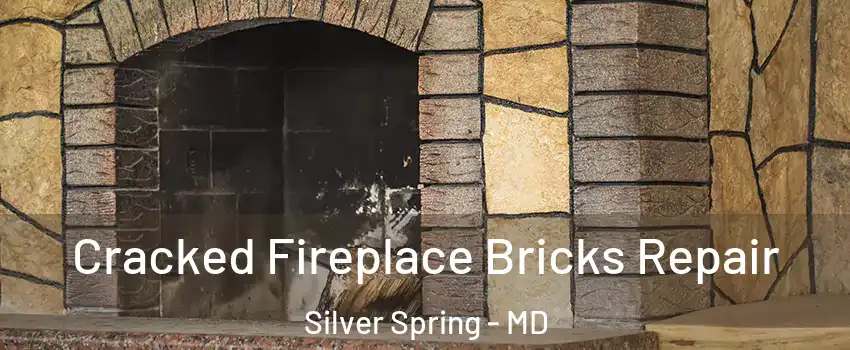  Cracked Fireplace Bricks Repair Silver Spring - MD