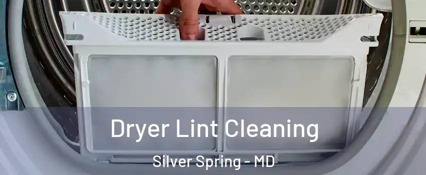  Dryer Lint Cleaning Silver Spring - MD