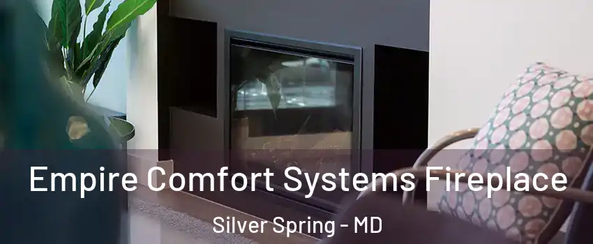  Empire Comfort Systems Fireplace Silver Spring - MD