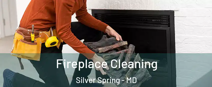  Fireplace Cleaning Silver Spring - MD
