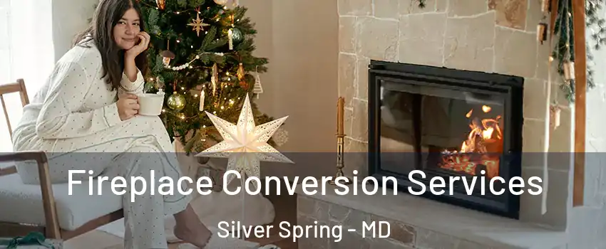  Fireplace Conversion Services Silver Spring - MD