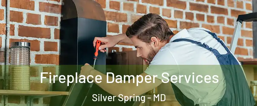  Fireplace Damper Services Silver Spring - MD