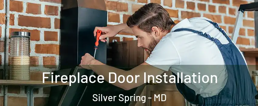  Fireplace Door Installation Silver Spring - MD