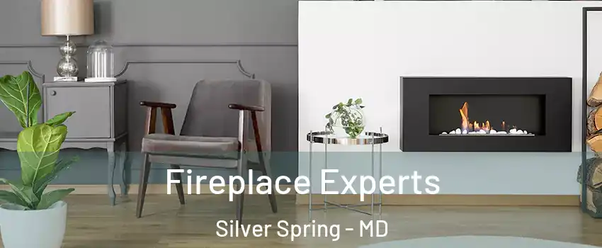  Fireplace Experts Silver Spring - MD