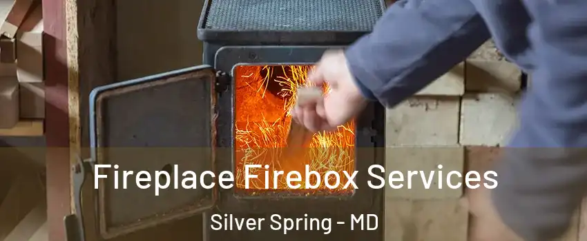  Fireplace Firebox Services Silver Spring - MD