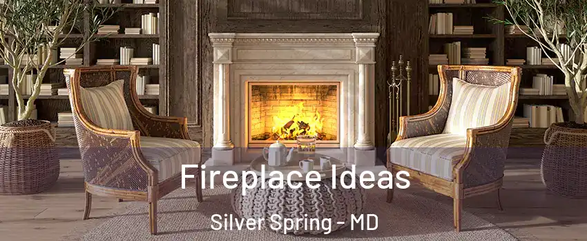  Fireplace Ideas Silver Spring - MD