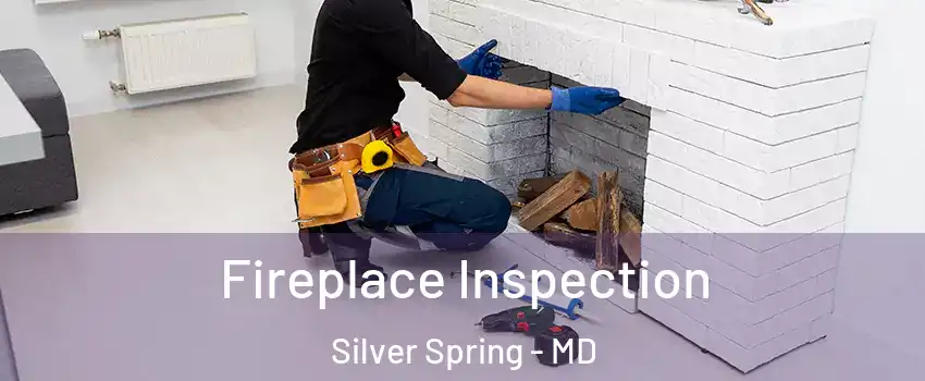  Fireplace Inspection Silver Spring - MD