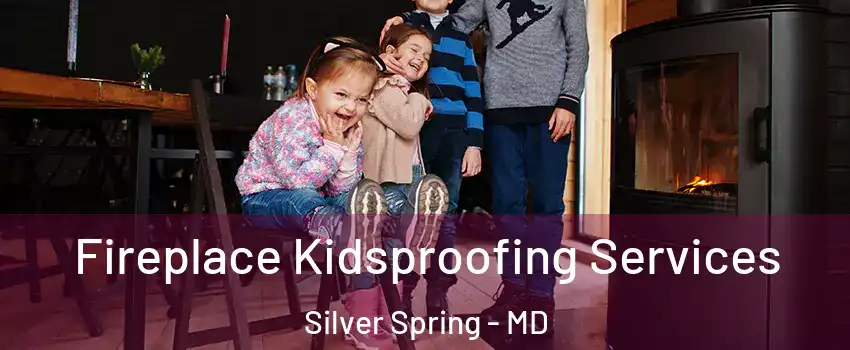  Fireplace Kidsproofing Services Silver Spring - MD