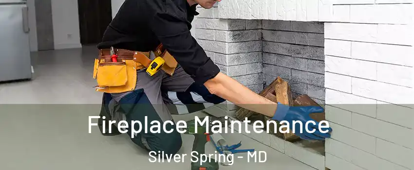  Fireplace Maintenance Silver Spring - MD