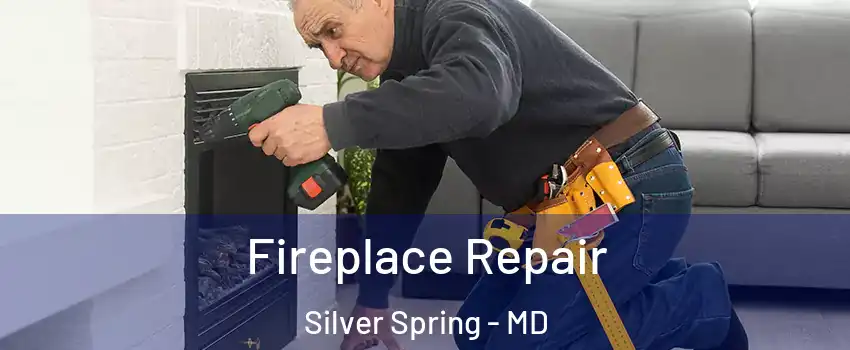  Fireplace Repair Silver Spring - MD