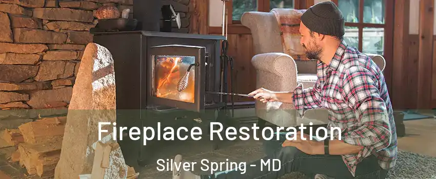  Fireplace Restoration Silver Spring - MD