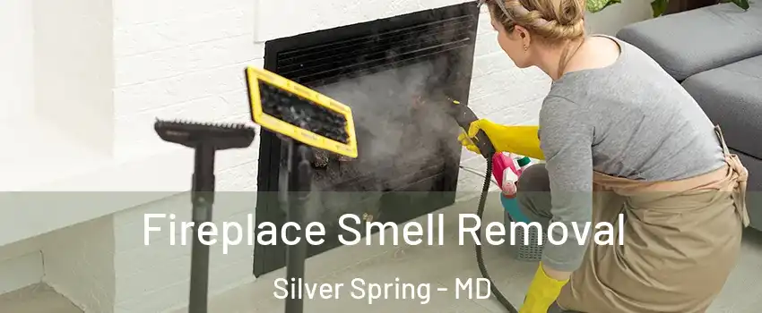  Fireplace Smell Removal Silver Spring - MD