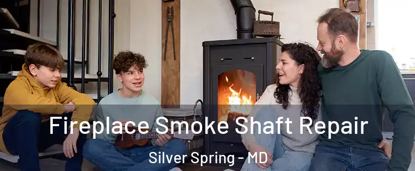  Fireplace Smoke Shaft Repair Silver Spring - MD