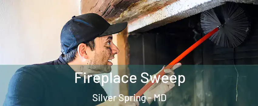  Fireplace Sweep Silver Spring - MD