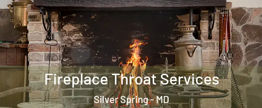  Fireplace Throat Services Silver Spring - MD