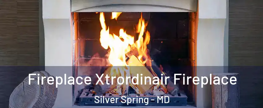  Fireplace Xtrordinair Fireplace Silver Spring - MD