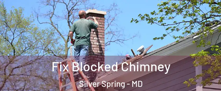  Fix Blocked Chimney Silver Spring - MD