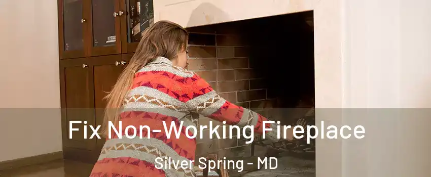  Fix Non-Working Fireplace Silver Spring - MD