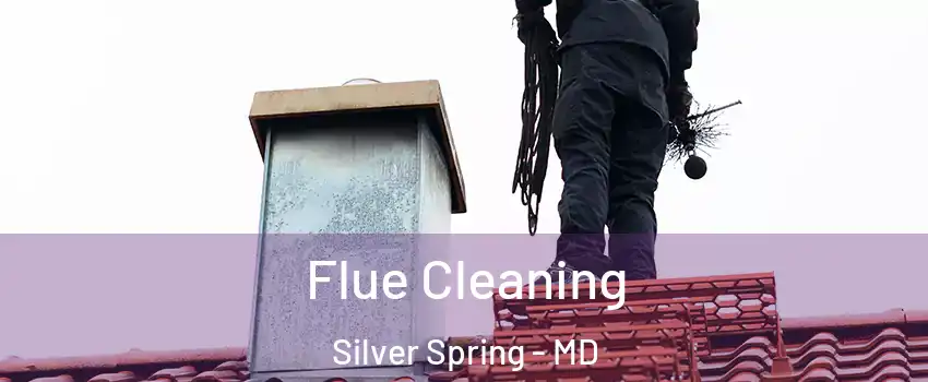  Flue Cleaning Silver Spring - MD